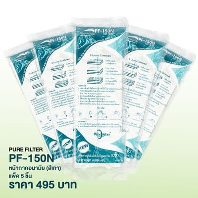 PURE FILTER Mask (Grey) PF-150N