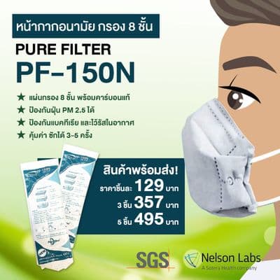 PURE FILTER Mask (Grey) PF-150N