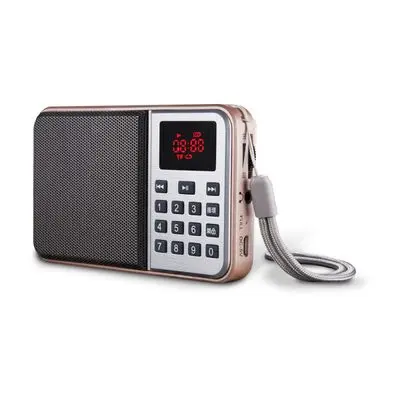 NANO Portable Radio PS-5202