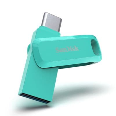SANDISK Flash Drive (256 GB,Green) Ultra Dual Drive Go USB Type-C