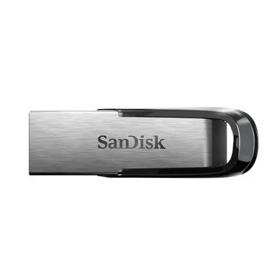 Flash Drive (256 GB) SDCZ73-256G-G46