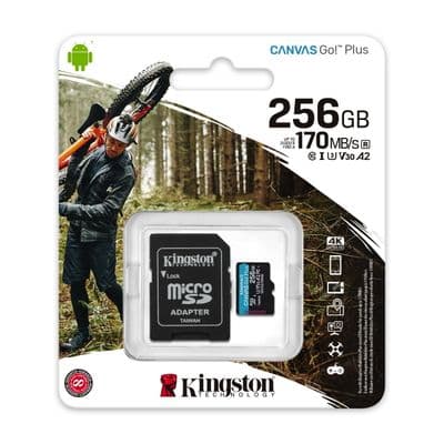 KINGSTON Micro SDXC Card (256 GB) Canvas Go Plus