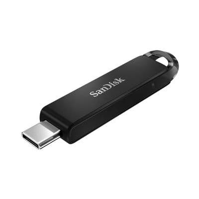 SANDISK Flash Drive (256 GB) SDCZ460-256G-G46