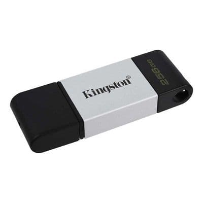 KINGSTON Flash Drive (256GB, Black)  DataTraveler 80 USB