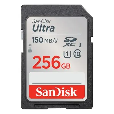 Ultra SDXC Card (256 GB) SDSDUNC-256G-GN6IN