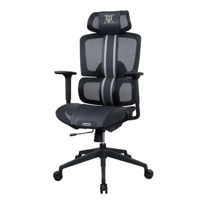 เก้าอี้เพื่อสุขภาพ (สี Black) รุ่น NXRG01