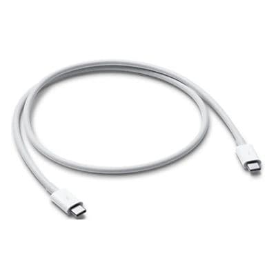 APPLE Thunderbolt USB-C Charging Cable (0.8M) MQ4H2ZA/A