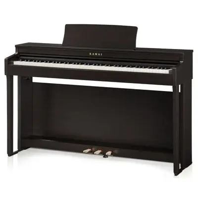 Digital Piano (Rosewood) CN201R