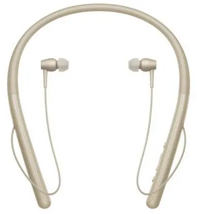 SONY หูฟังไร้สาย บลูทูธ WI-H700 (สี Pale Gold) รุ่น WI-H700/NM E