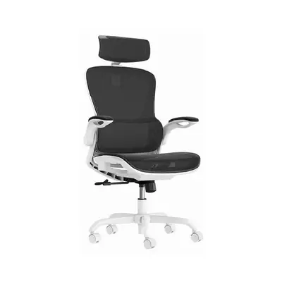 ERGONOMIC Gaming Chair (White) EP-OC0004
