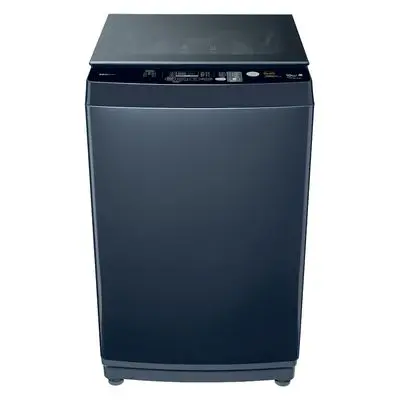 Top Load Washing Machine (10 kg) AW-DM1100PT(MK)